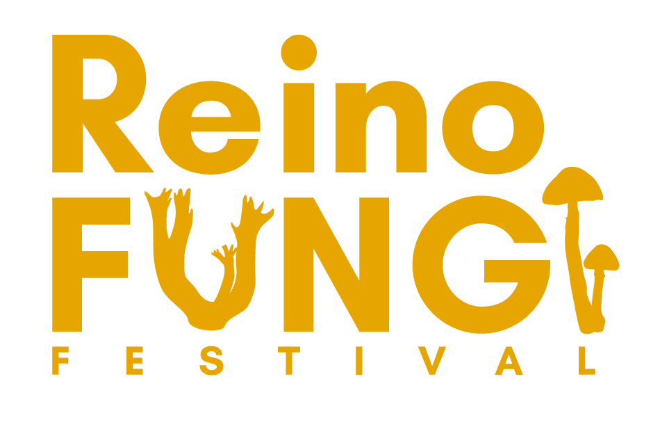 Festival Reino Fungi