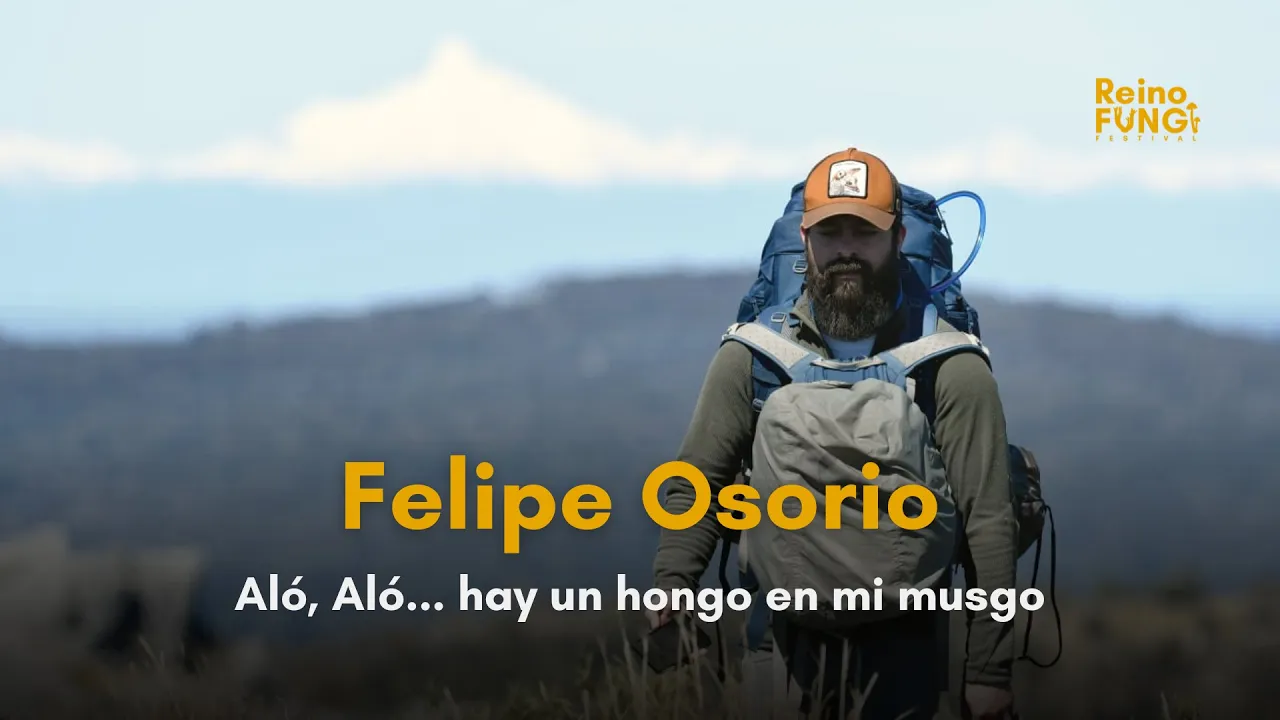 Hay un hongo en mi musgo - Felipe Osorio
