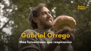 Más fotosíntesis que respiración - Gabriel Orrego